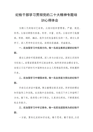 纪检干部学习贯彻党的二十大精神专题培训心得体会.docx