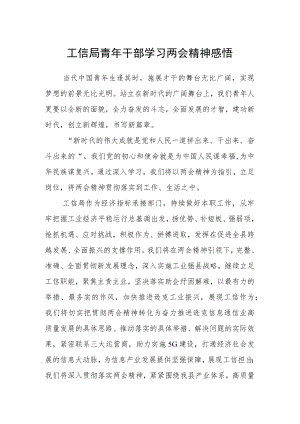 工信局青年干部学习两会精神感悟.docx