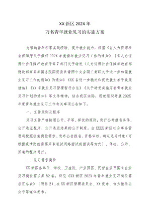 XX新区202X年万名青年就业见习的实施方案.docx