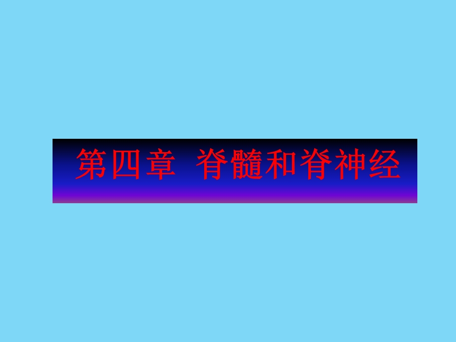 神经解剖学脊髓1(研究生).ppt_第1页