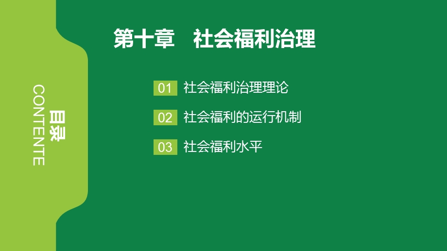 社会救助与社会福利课件10.社会福利治理.ppt_第2页