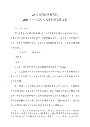 XX省民营经济研究院202X下半年高层次人才招聘实施方案.docx