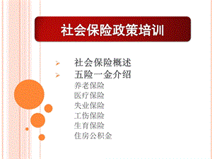 社会保险政策培训.ppt