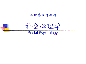 社会心理学(心理咨询师).ppt