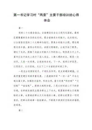 第一书记学习村“两委”主要干部培训班心得体会七篇.docx