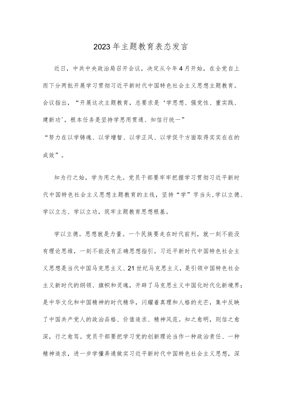 2023年主题教育表态发言.docx_第1页