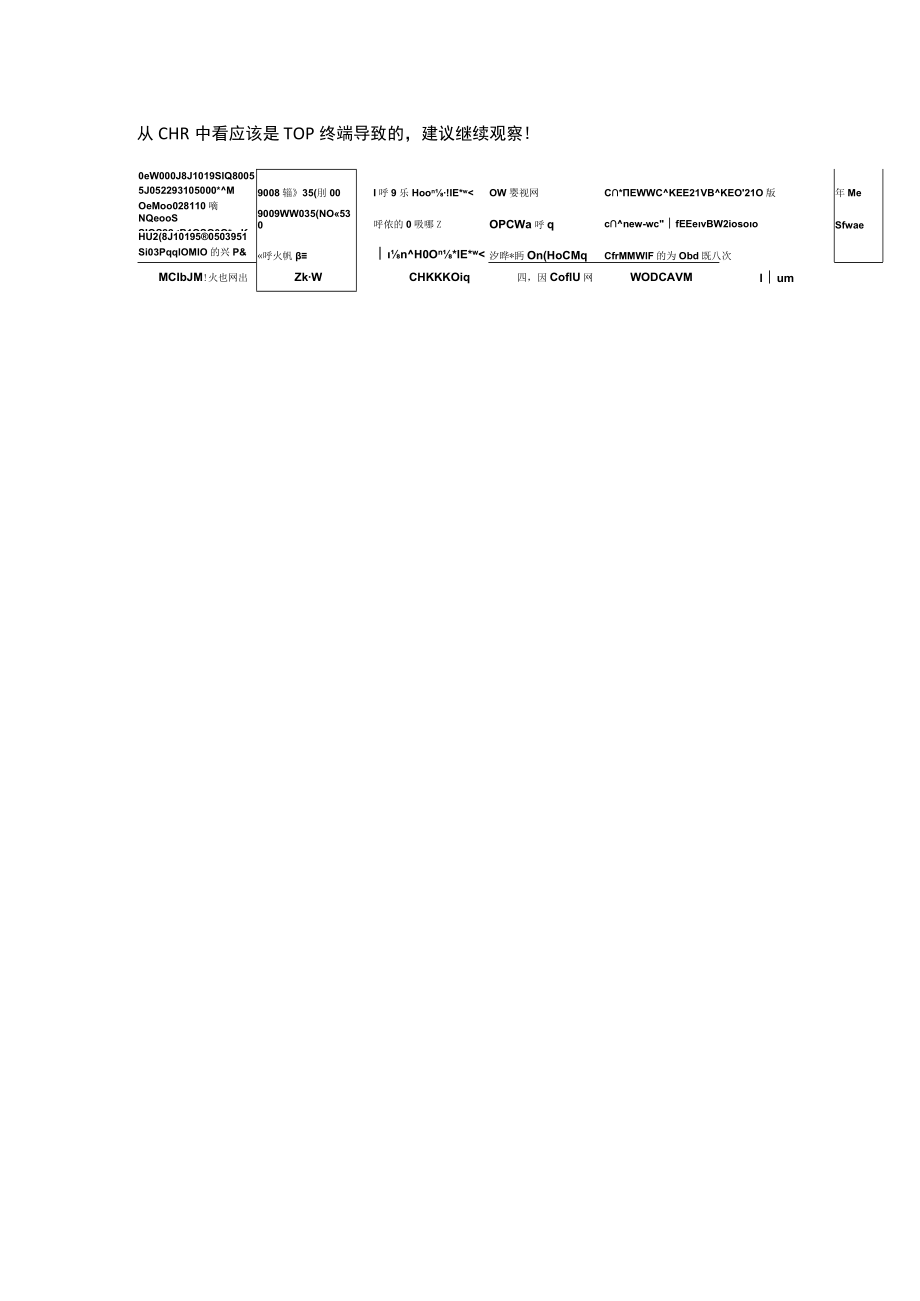 TOP终端规避措施.docx_第2页