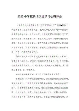 2023小学校长培训班学习心得体会七篇.docx