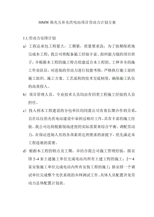 30MW渔光互补光伏电站项目劳动力计划方案.docx