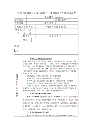 “十佳创新项目”选树申报表.docx