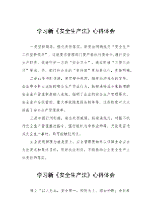 (最新版)电力人员学习新修订《安全生产法》心得体会十篇.docx