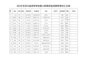 2019年四川省高等学校新入职教师返岗教研情况汇总表.docx