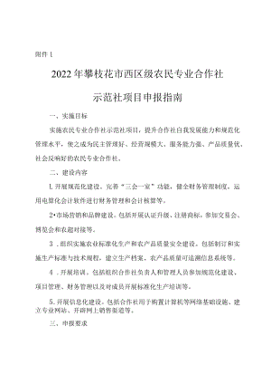 2022年农业产业化发展专项资金项目申报指南-合作社申报指南.docx