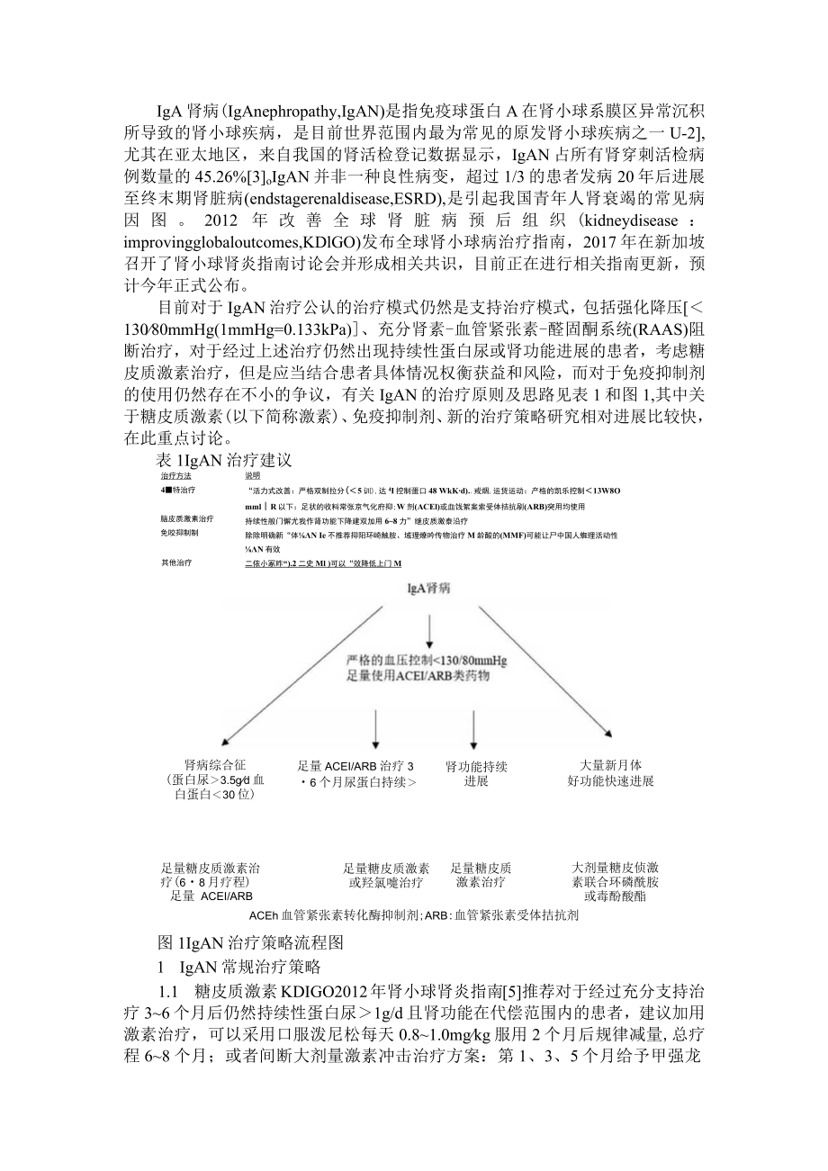 IgA肾病的治疗进展与IgA肾病遗传学机制进展.docx_第1页