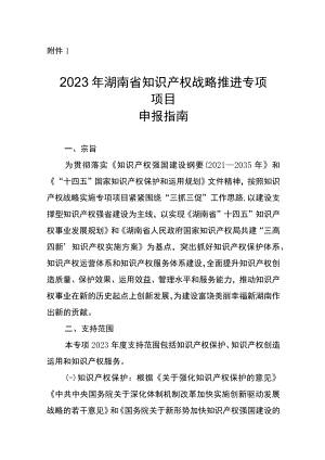 2023年湖南省知识产权战略推进专项项目申报指南.docx