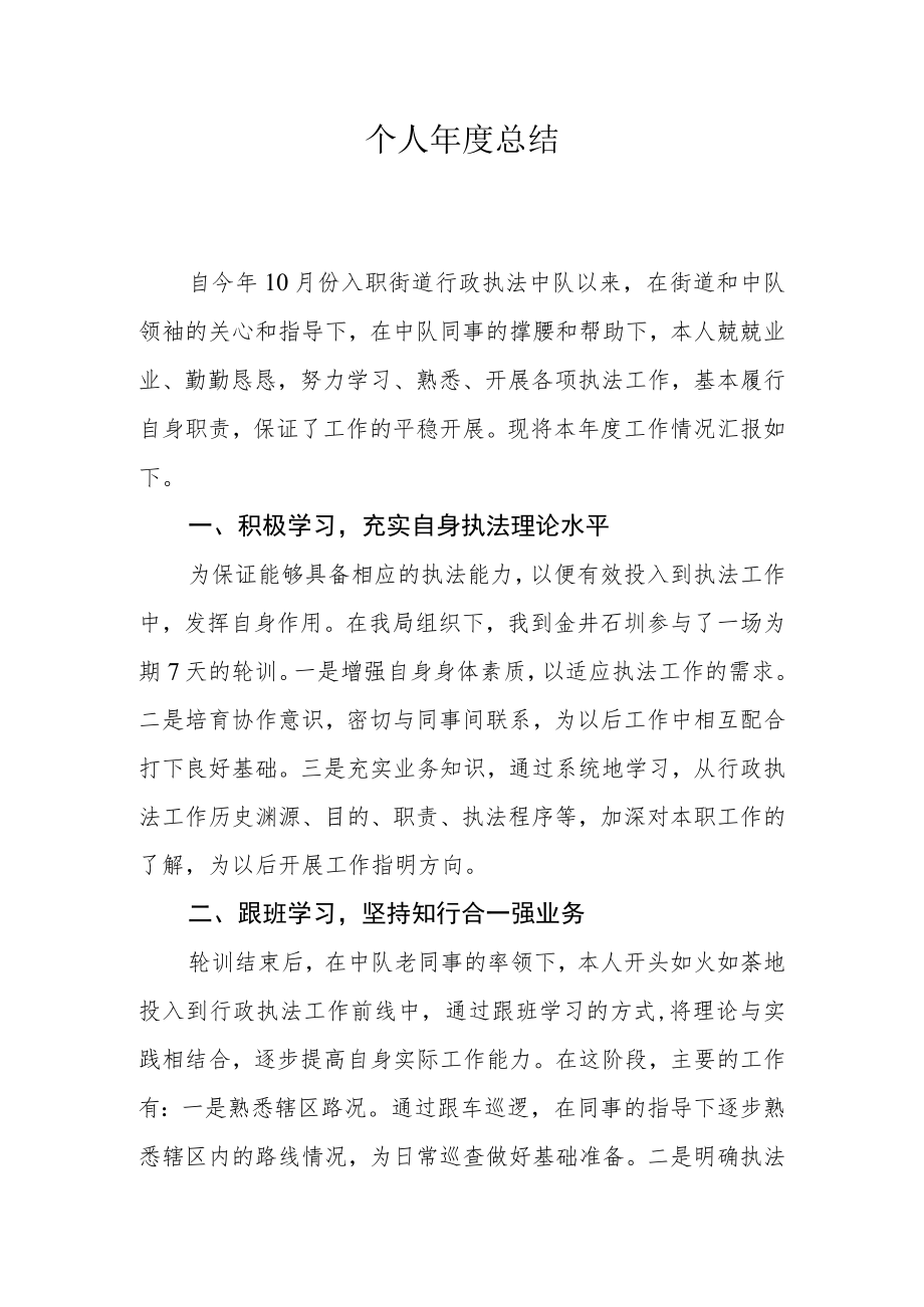 2022年行政执法个人年度总结.docx_第1页