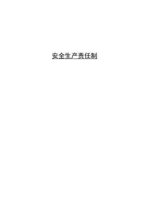 企业各岗位安全生产责任制.docx