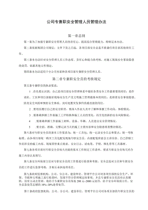 公司专职安全管理人员管理办法.docx