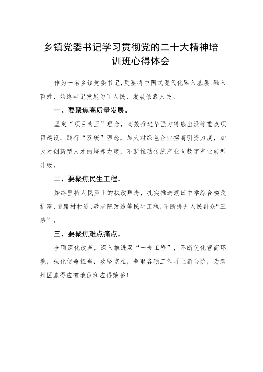 乡镇党委书记学习贯彻党的二十大精神培训班心得体会.docx_第1页