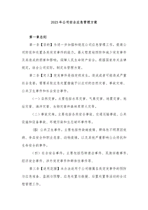 2023年公司安全应急管理方案.docx