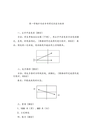 乒乓球体育课考试内容与标准.docx