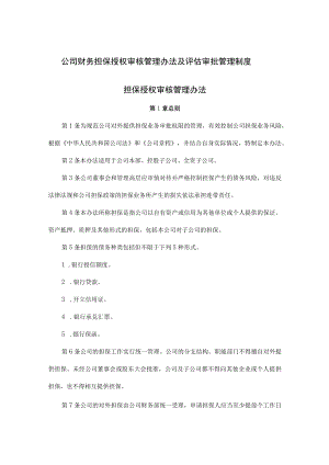 公司财务担保授权审核管理办法及评估审批管理制度.docx