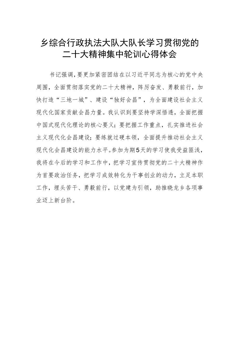 乡综合行政执法大队大队长学习贯彻党的二十大精神集中轮训心得体会.docx_第1页