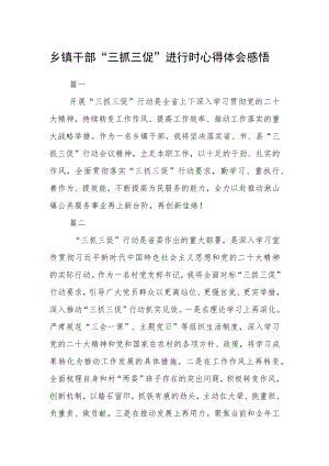 乡镇干部“三抓三促”进行时心得体会感悟四篇精选.docx