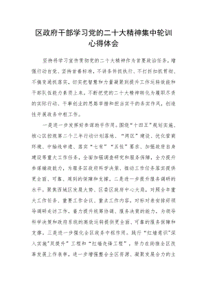 区政府干部学习党的二十大精神集中轮训心得体会.docx