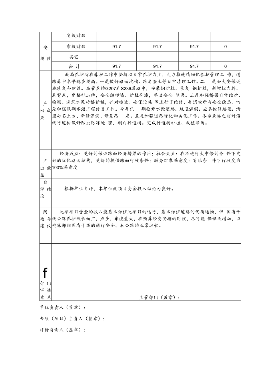 专项项目资金支出绩效自评报告表.docx_第3页