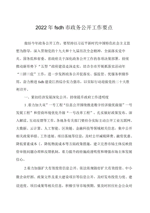 jg市政务公开工作要点.docx