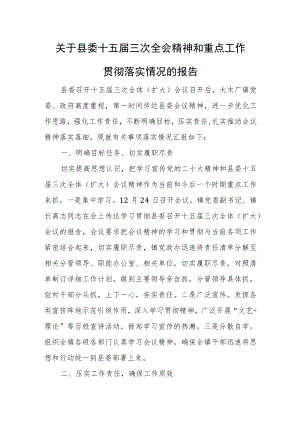 关于县委十五届三次全会精神和重点工作贯彻落实情况的报告.docx