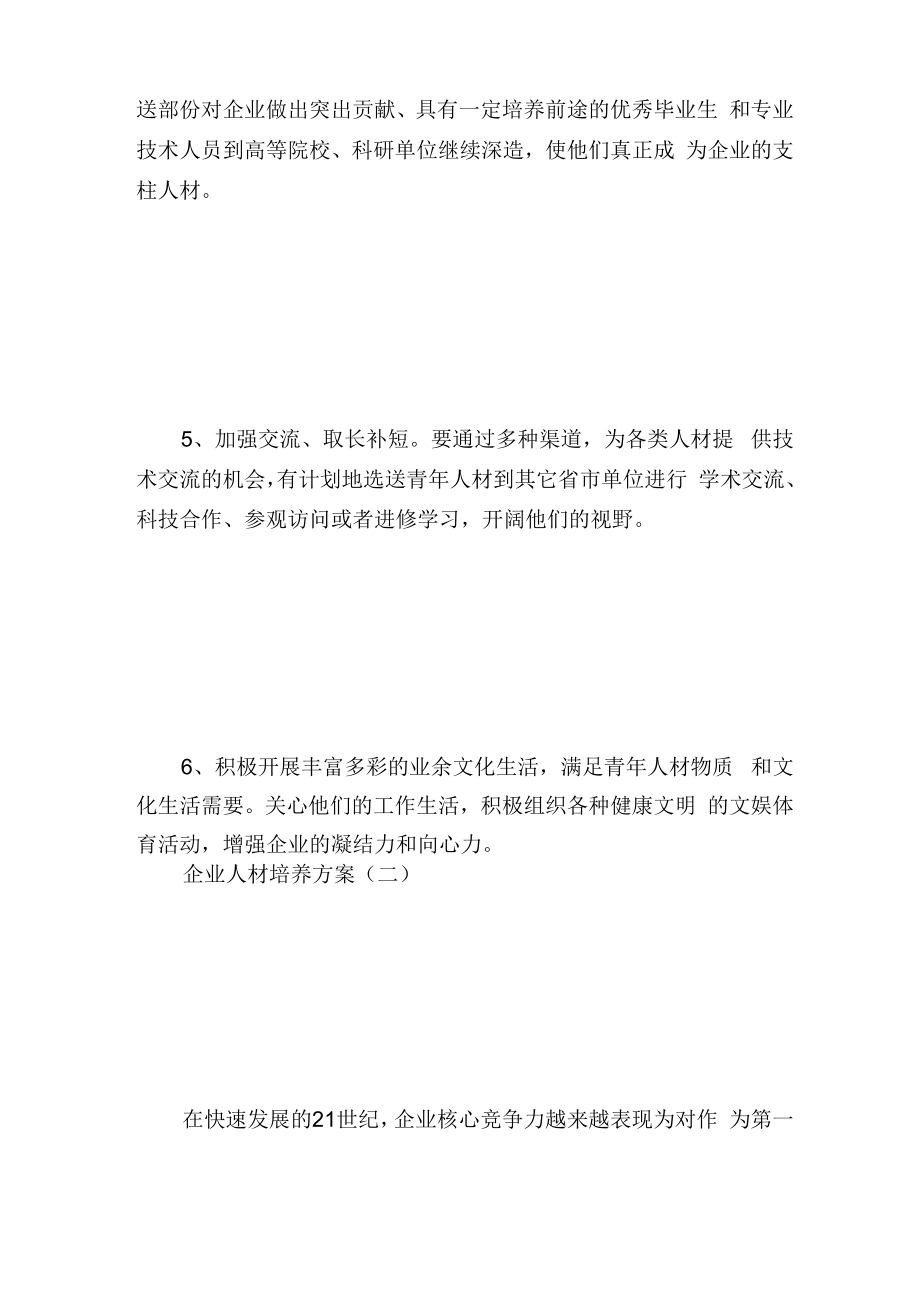 企业人才培养方案_计划方案.docx_第2页