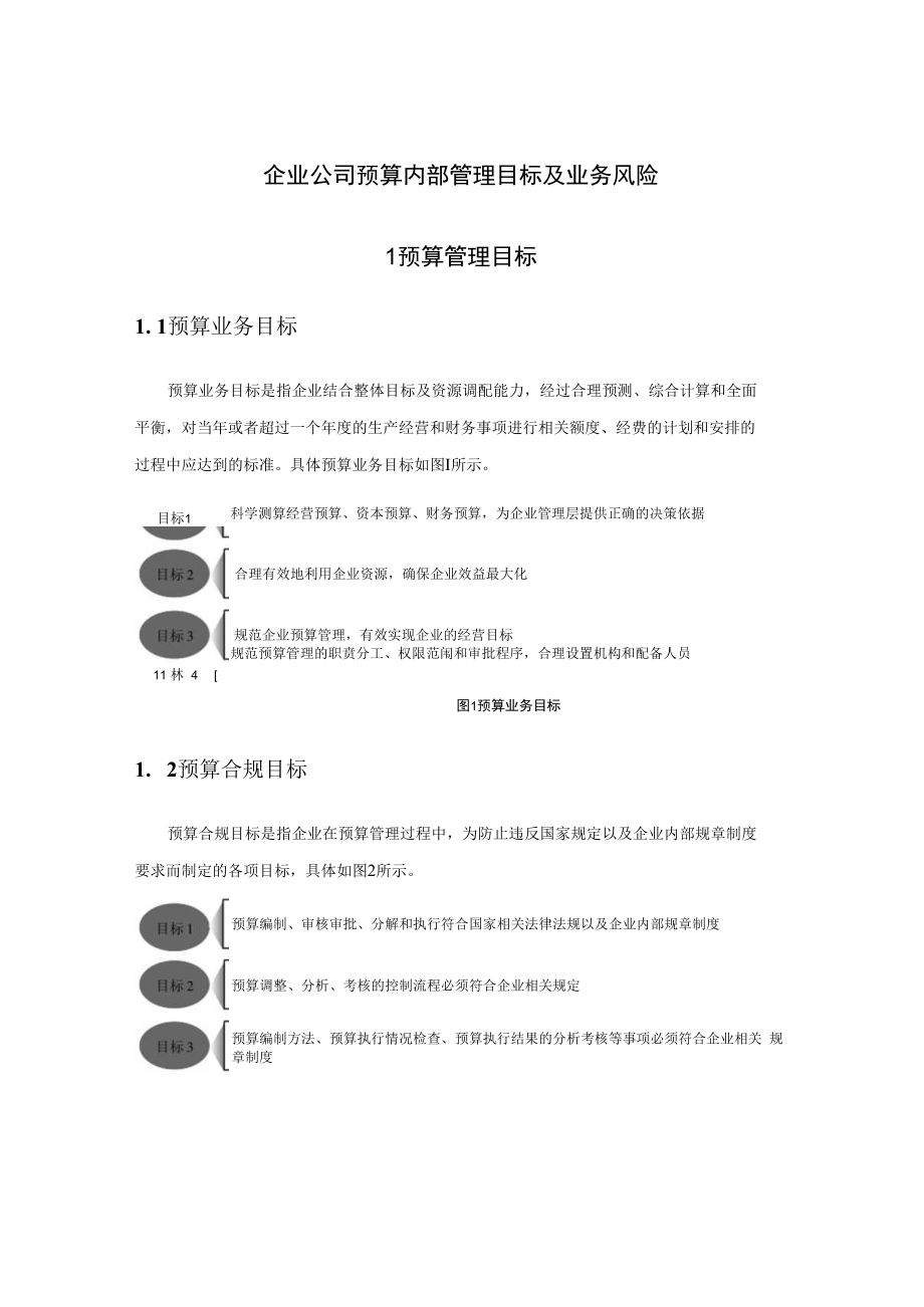 企业公司预算内部管理目标及业务风险.docx_第1页