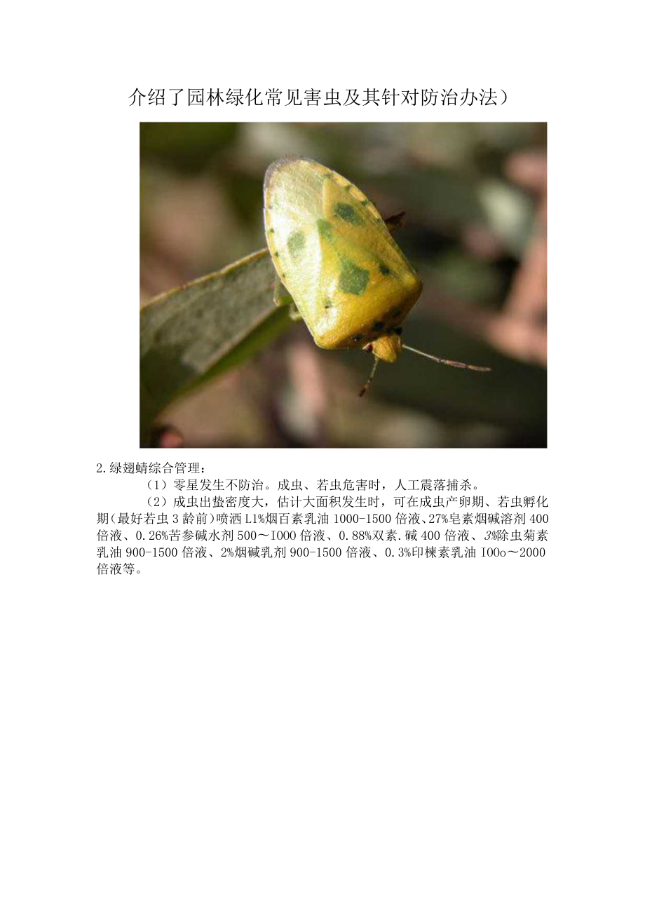 介绍了园林绿化常见害虫及其针对防治办法).docx_第1页