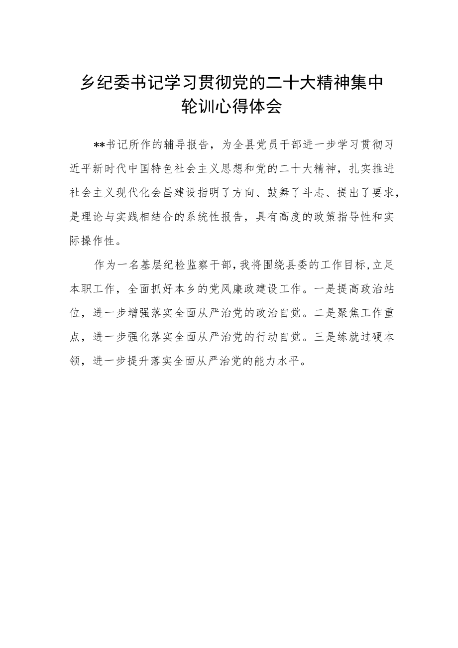 乡纪委书记学习贯彻党的二十大精神集中轮训心得体会.docx_第1页