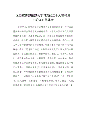 区委宣传部副部长学习党的二十大精神集中轮训心得体会.docx