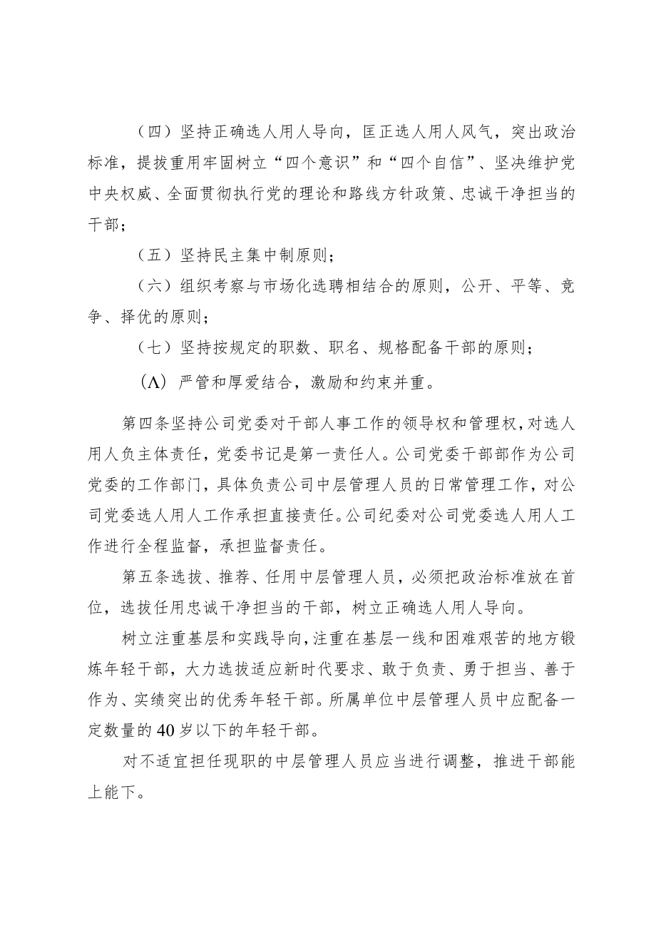 公司中层管理人员管理办法.docx_第2页