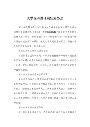 大学经济责任制实施办法.docx