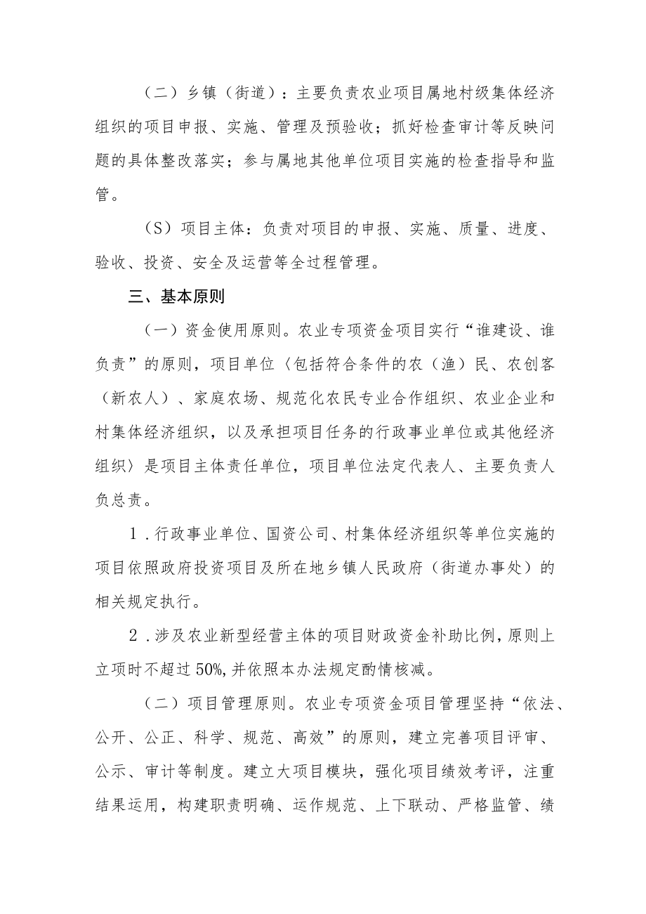 农业专项资金项目管理办法.docx_第2页