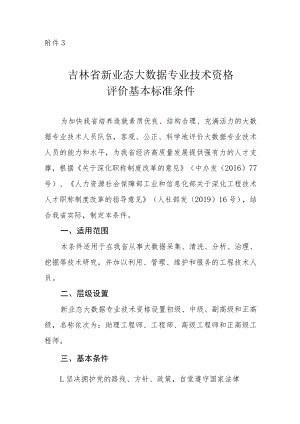 吉林省大数据专业技术资格评价基本标准条件.docx