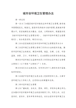 城市容环境卫生管理办法.docx