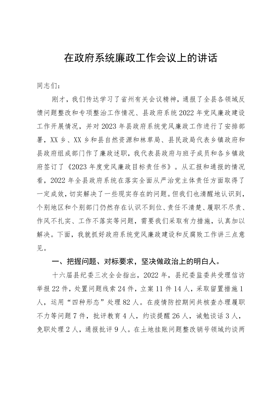 在政府系统廉政工作会议上的讲话.docx_第1页