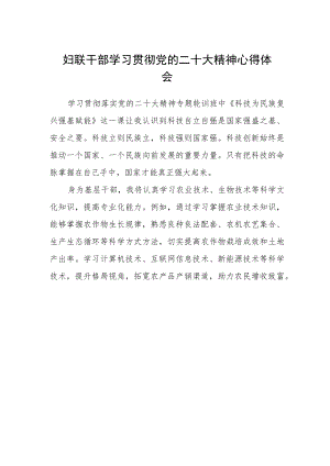 妇联干部学习贯彻党的二十大精神心得体会.docx