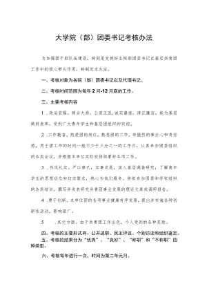 大学院（部）团委书记考核办法.docx