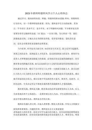 城区学校2023年教师师德师风学习个人心得体会合计12份.docx