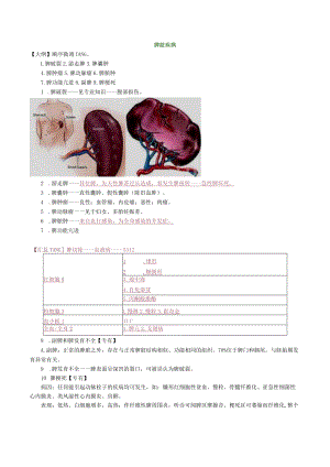 外科主治医师考试-专业实践能力讲义17脾脏疾病.docx