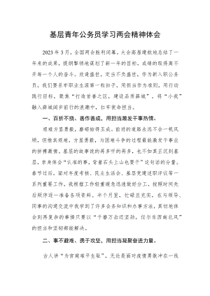 基层青年公务员学习两会精神体会.docx