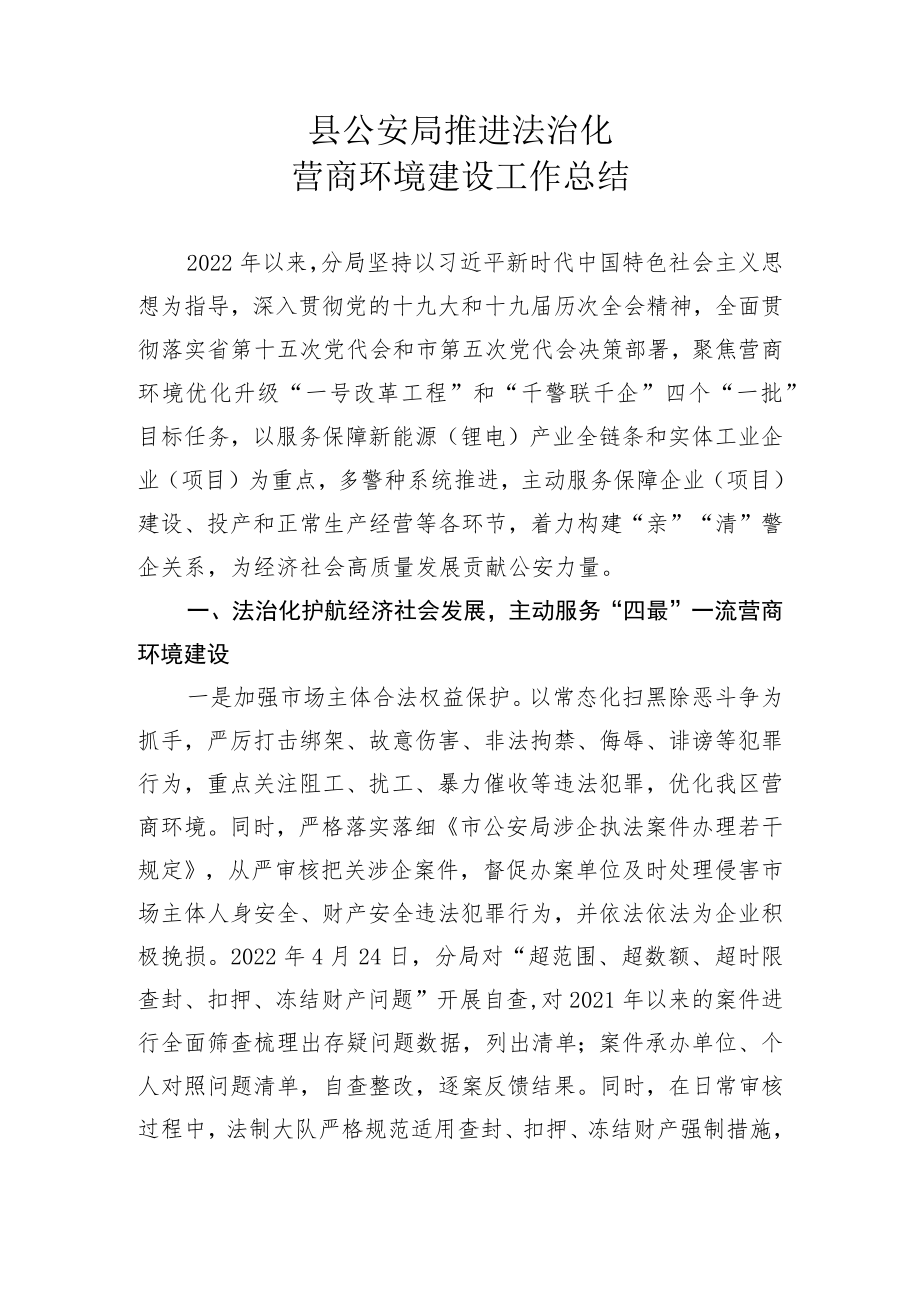 县公安局推进法治化营商环境__.docx_第1页