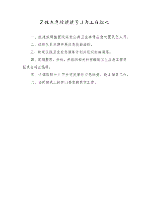 卫生应急救援领导小组工作职责.docx